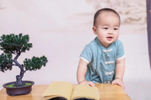 廊坊可爱的企鹅宝宝